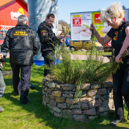 Wyświetl org. rozmiar
