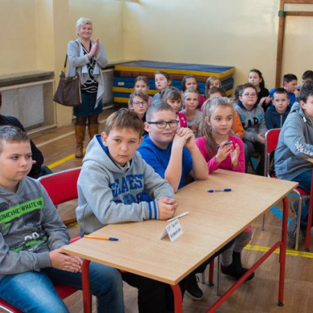 Wyświetl org. rozmiar