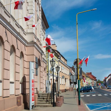 Wyświetl org. rozmiar