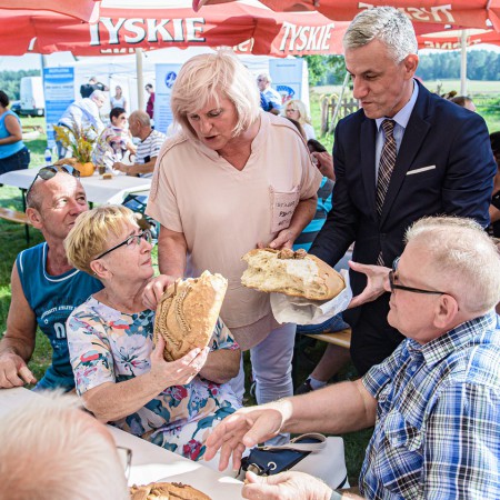 Wyświetl org. rozmiar