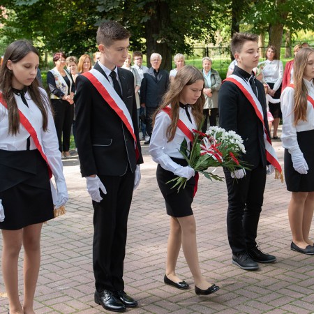 Wyświetl org. rozmiar