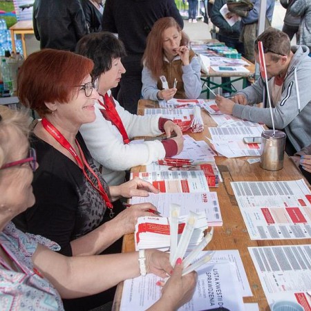 Wyświetl org. rozmiar