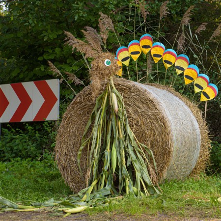 Wyświetl org. rozmiar