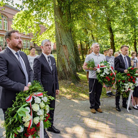 Wyświetl org. rozmiar