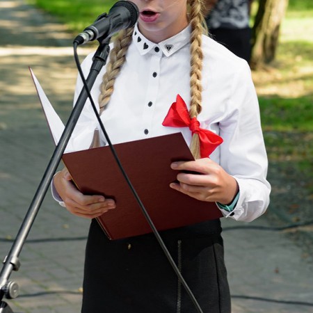 Wyświetl org. rozmiar