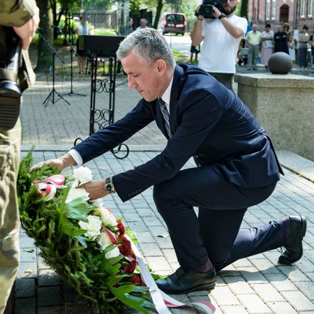 Wyświetl org. rozmiar