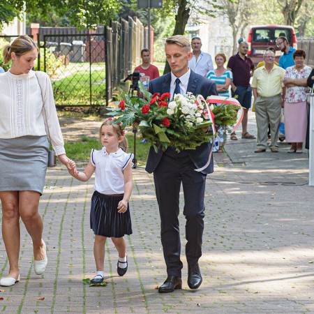 Wyświetl org. rozmiar