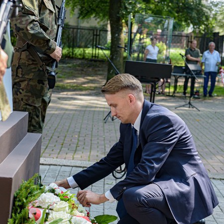 Wyświetl org. rozmiar