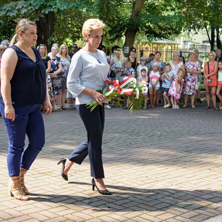 Wyświetl org. rozmiar