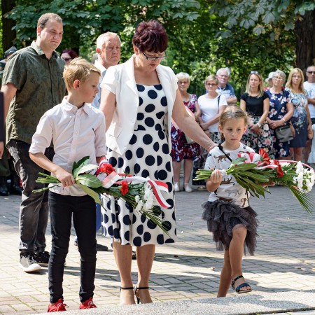 Wyświetl org. rozmiar