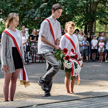 Wyświetl org. rozmiar