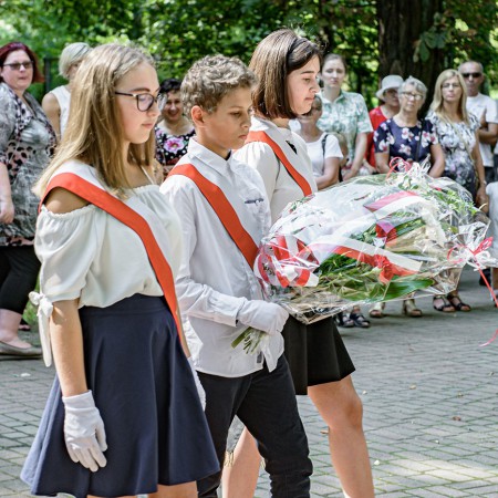 Wyświetl org. rozmiar
