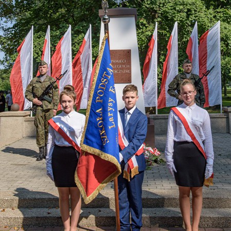 Wyświetl org. rozmiar