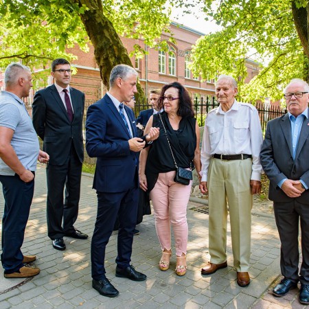 Wyświetl org. rozmiar