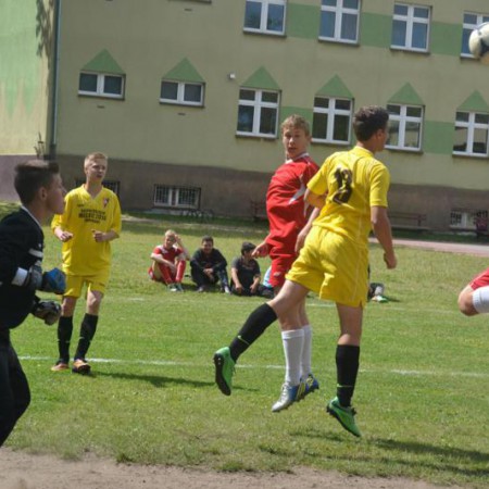Wyświetl org. rozmiar