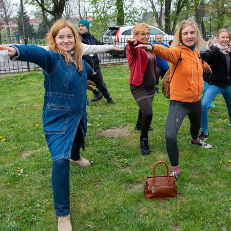 Wyświetl org. rozmiar