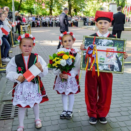 Wyświetl org. rozmiar