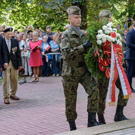 Wyświetl org. rozmiar