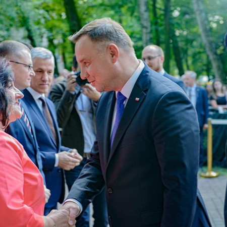 Wyświetl org. rozmiar