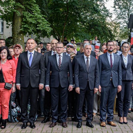 Wyświetl org. rozmiar