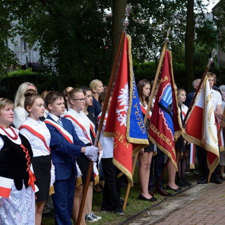 Wyświetl org. rozmiar