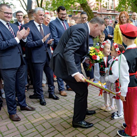 Wyświetl org. rozmiar