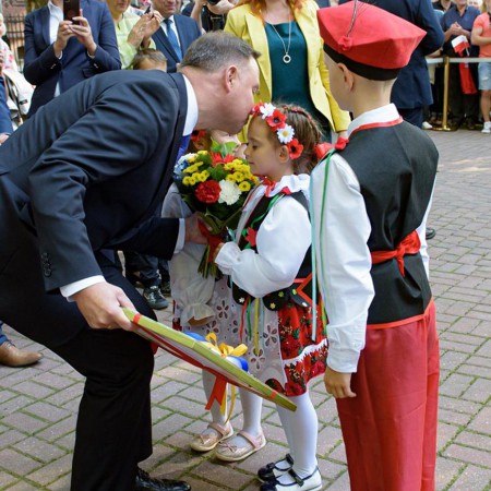 Wyświetl org. rozmiar