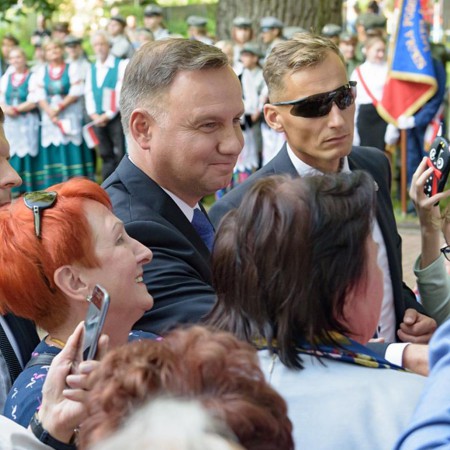 Wyświetl org. rozmiar