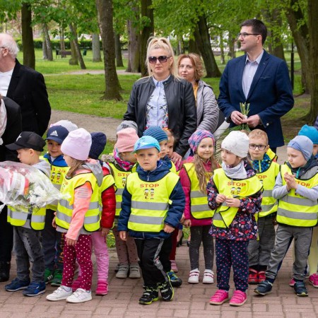Wyświetl org. rozmiar