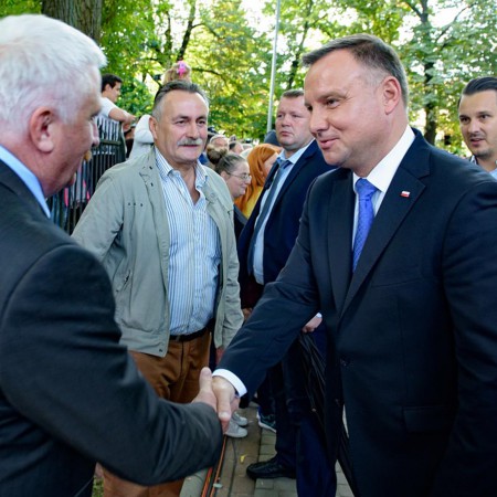 Wyświetl org. rozmiar