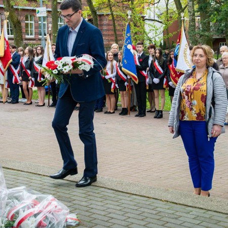 Wyświetl org. rozmiar