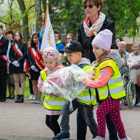 Wyświetl org. rozmiar