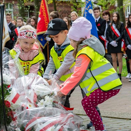Wyświetl org. rozmiar