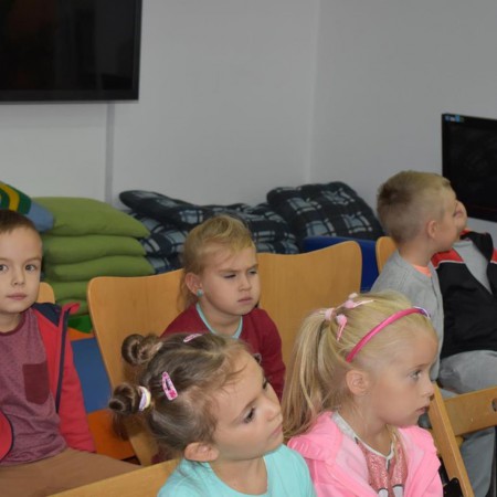 Wyświetl org. rozmiar