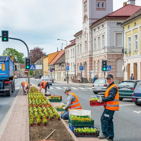 Wyświetl org. rozmiar