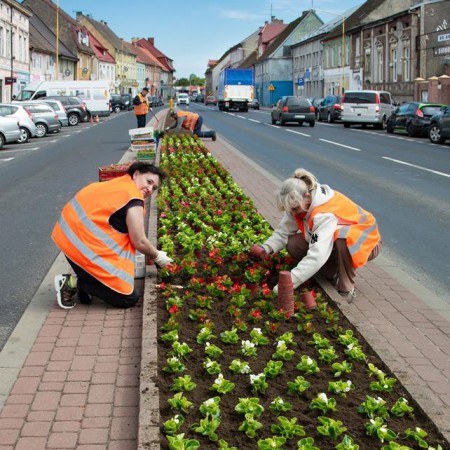 Wyświetl org. rozmiar
