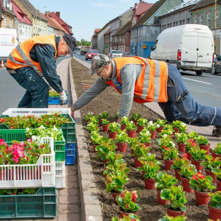 Wyświetl org. rozmiar