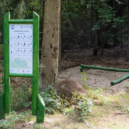 Wyświetl org. rozmiar