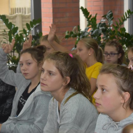 Wyświetl org. rozmiar