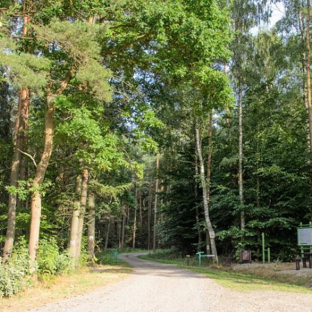 Wyświetl org. rozmiar