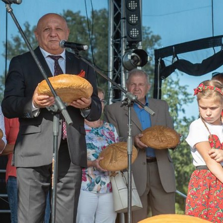 Wyświetl org. rozmiar