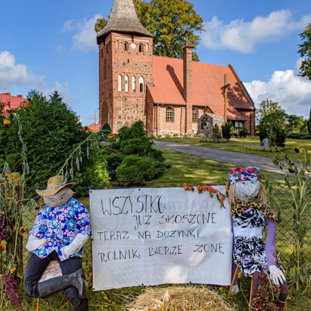 Wyświetl org. rozmiar
