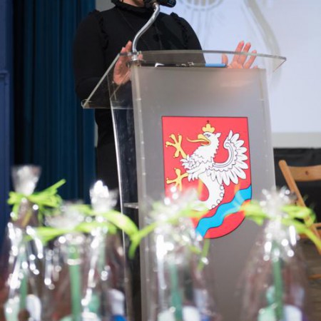 Wyświetl org. rozmiar