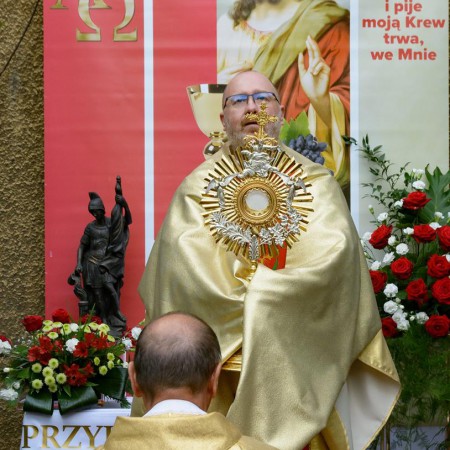 Wyświetl org. rozmiar