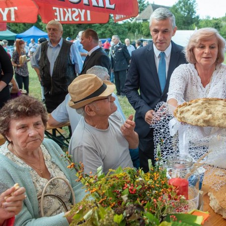 Wyświetl org. rozmiar