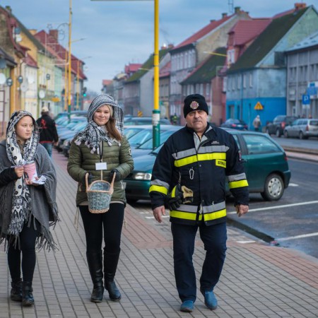 Wyświetl org. rozmiar