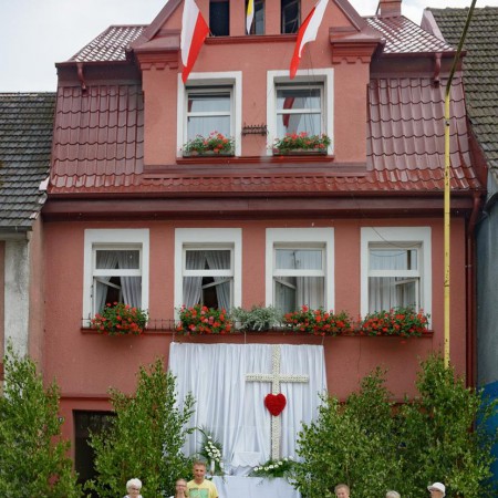 Wyświetl org. rozmiar