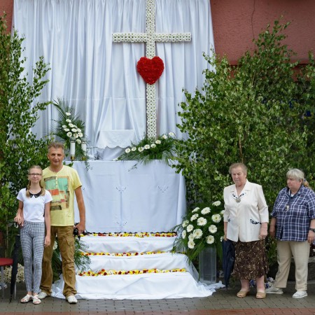 Wyświetl org. rozmiar