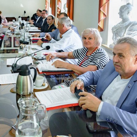 Wyświetl org. rozmiar