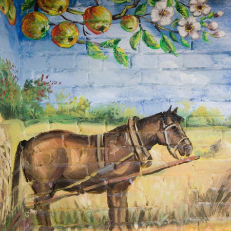 Wyświetl org. rozmiar